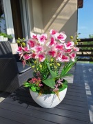 Storczyk silikonowy,Super jakość,Pomysł na prezent