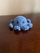 Szydełkowa ośmiornica niebieska