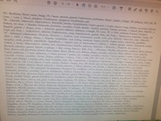 Zapper częstotliwość 787 Hz