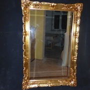 LUSTR W ZŁOTEJ RAMIE 