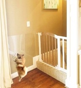 Folia ochronna przeciw drapaniu psa/kota 150x30