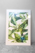 Plakat w ramie aluminiowej srebnej z passe-partout - Motyw roślinny