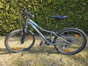 Rower Giant 24'' Liv Enchant