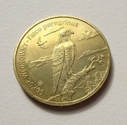 Moneta 2 zł Sokół wędrowny Falco peregrinus 2008
