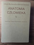 Bochenek - Anatomia człowieka tom V