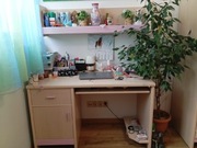 Meble do pokoju dziecięcego 