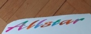 Naklejka na przednia maskę VW T4 Multivan Allstar