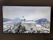 Telewizor Philips 55 cali 