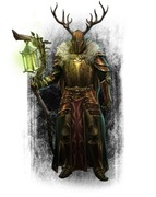 Druid 140lvl Broken Ranks Epik V2