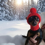 Czerwona czapeczka z pomponem /kominiarka dla psa lub kota