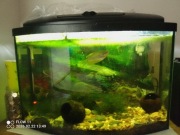 Zestaw akwarystyczny 