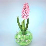 Stroik, wazon, hiacynty wielkanoc kameliasklep 