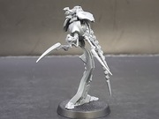 Warhammer 40000 Necron Necrons Tomb World Macrocyte Warrior A
