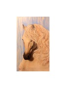 Koń Obraz akrylic paint 