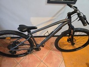 ROCKRIDER EXPL 520 SREBRNY 29