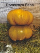 049-Romovaya Baba. Pomidory kolekcjonerskie.