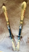 Narty Elan Golden Adam Pro 143 cm – używane