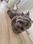 Keel Signature Cuddle Puppy French Bulldog