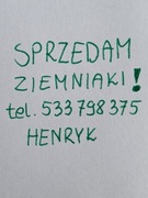 Ziemniaki Gala lub Anna