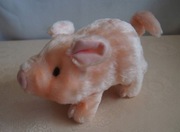 ŚWINKA CHODZĄCA - CHRUMKA, RUSZA RYJKIEM i OGONEM 