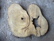 Plaster drewna na stolik kawowy Lipa 90x70