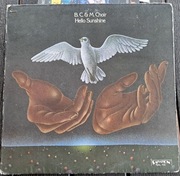 Winyl The B. C. & M. Choir "Hello Sunshine" 