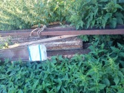 Kształtowniki stalowe