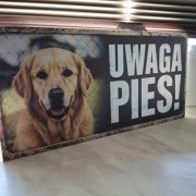 Tabliczka UWAGA PIES Golden Retriever | DIBOND | Personalizacja | Producent