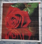 Obraz diamentowy 5d 40x40