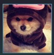 Gierki - Dying Light 2, Ark survival, Payday2