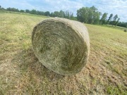 Siano BELE 120x120 dla Konia Kozy Krowy Królika Świnki Morskiej Szynszyli