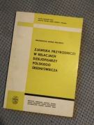 Malewicz, Zjawiska przyrodnicze w relacjach dziejo