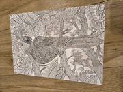 Rysunek ręcznie wykonany, papuga, handmade