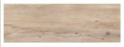 Płyty ogrodowe tarasowe na schody 40x120 gres 2cm gat.2 Garden wood cold