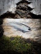 Streamer okoniowy 6/7CM