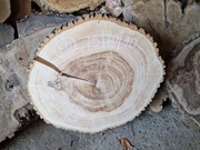 Jesion 75/70/10cm Blat Plaster Drewna Stolik Żywica Epoxy Natura DIY Natura