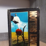 Jeśli zobaczę jutro (Sidney Sheldon) Thriller/Kryminał