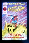 SPIDERMAN 6/90 - SPRAWDŹ STAN!!!