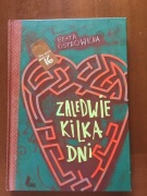 ZALEDWIE KILKA DNI  BEATA OSTROWICKA 