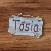 Tabliczka imienna 12cmx7cm "Tosia"