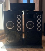 Głośniki Altus 140 2x300 wat