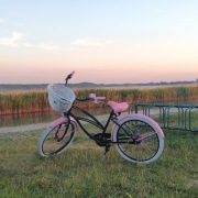 Rower miejski Plumbike