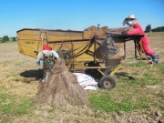 Młocka MZC-4A; maszyna do młócenia, zabytek