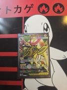 MEGA ELEKTROSS EX ASC 266/217