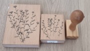Zestaw stempli Rico Design ANYŻ