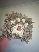 Mata węchowa łapka prezent dla psa kota królika zwierzaka