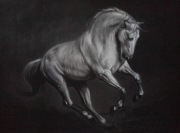 Portret konia. Pastele 50x70 cm