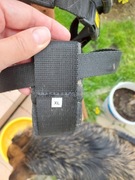 Obroża do pasa do auta, puszorek, pas dla psa