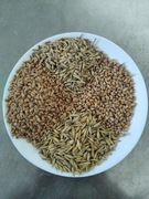 Pasza karma dla kur kaczek gęsi, mieszanka paczka 25kg z małego gospodarstw