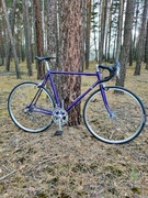 Odrestaurowana retro szosa Hercules